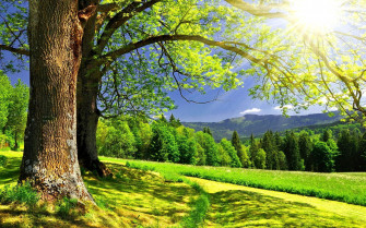 Beautiful Sunshine Wallpaper