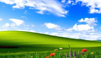 Windows Landscape Wallpaper