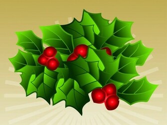 Mistletoe