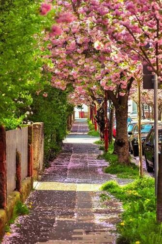 Marburg Hessen Paisaje Beautiful Places