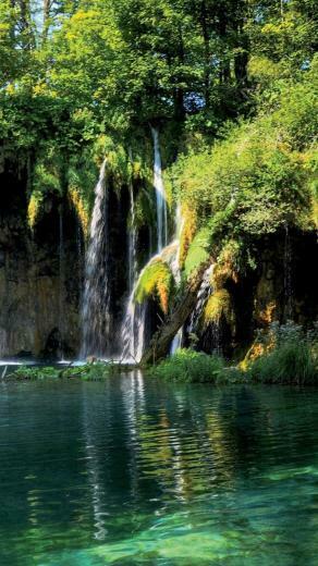Nature Nexus Wallpaper HD And Background