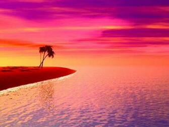Pink Sunset Wallpaper