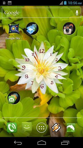 Turn Your Life Into The Most Splendid Happy Festival