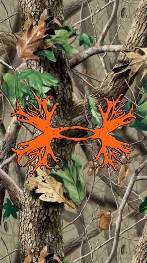 Mossy Oak Wallpaper Image In Collection