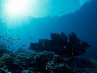 Underwater Landscape Photos Wallpaper