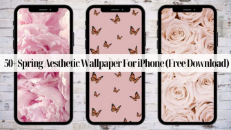 Spring Aesthetic Wallpaper For iPhone Kayla