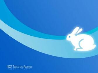 Wallpaper Vegan Vegetarian Animal Rights