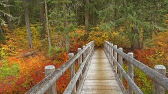 Best Oregon Trail Wallpaper Outdoors