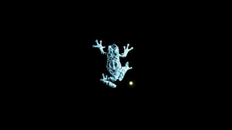 Fringe Frog With Phi On It HD Wallpaper The Database