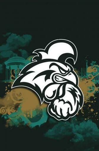 Black Ccu Exposeblackccu