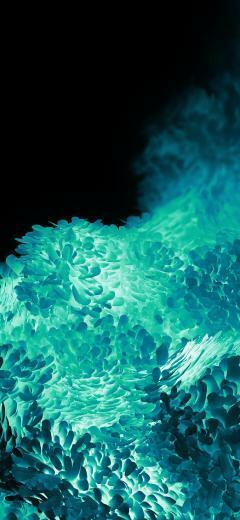 Samsung Galaxy S20 Wallpaper
