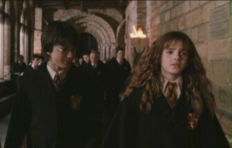 Harmony Chamber Of Secrets Harry And Hermione Image