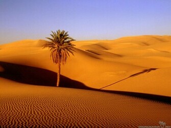 Desert Wallpaper