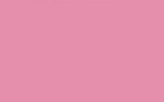 Charm Pink Solid Color Background