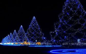 Holidays Christmas Lights Wallpaper Background