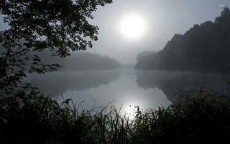 Mysterious Foggy Lake Wallpaper Nature
