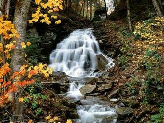 Windows Xp Autumn Wallpaper Weddingdressin