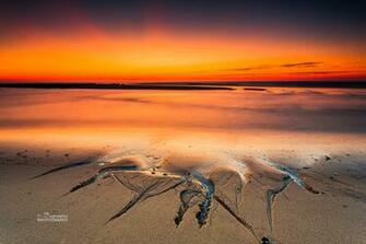 Cape Cod National Seashore The Official Dapixara