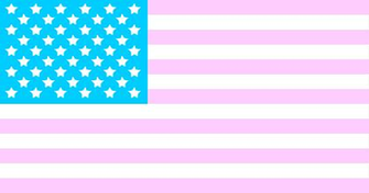 American Transgender Flag By Pinkbluebibliofreak