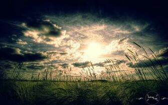 Category Nature HD Wallpaper Subcategory Vintage