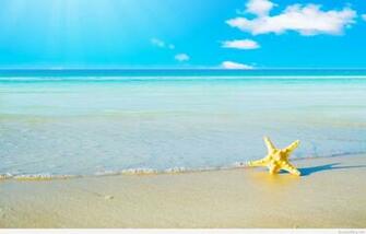 Summer Wallpaper Image