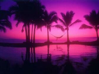 Pink Sunset Wallpaper