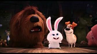 The Secret Life Of Pets Wallpaper HD Background Your