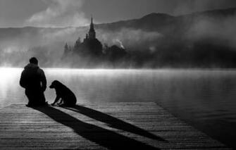 Wallpaper Landscape Nature Photo Water Dog Monochrome