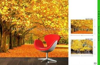 Diy Photo Wallpaper Korea Wall Paper Nov