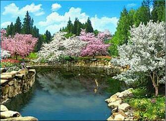 Enjoy 3d Spring Flowers Wallpaper For Your Computer Desktop