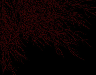 Dark Wallpaper Crimson By Ahelton84