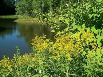 D A De Verano En Maine Skowhegan Wallpaper