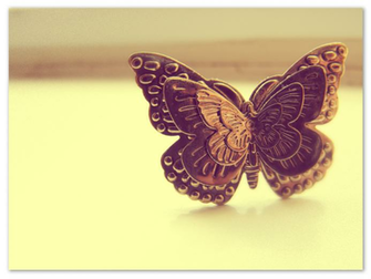 Vintage Butterfly By Missimo C