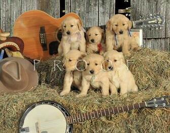 Cool Country Music Background Litter