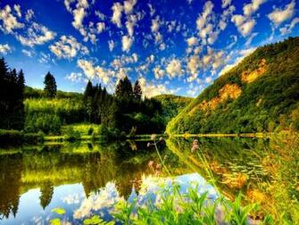 Summer Nature Image Ing Gallery