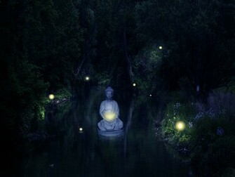Buddha Meditation Wallpaper
