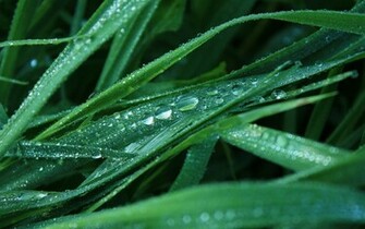 Tears Wallpaper Stock Photos