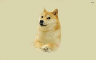 Single Doge Wallpaper