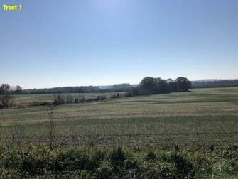 Acres Hamilton County Il Mostly Tillable Farmland