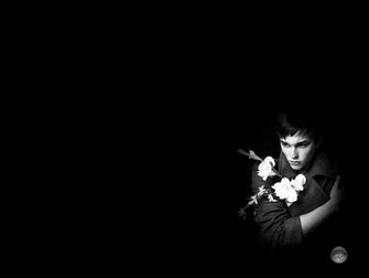 Nicholas Hoult Wallpaper