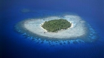 World Micronesia Coral Wallpaper
