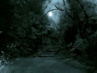Snowy Forest Moon Wallpaper At Wallpaperbro