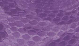 Biology Wallpaper Background Image Crazy Gallery