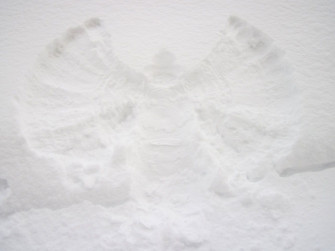Snow Angel Wallpaper