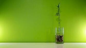 HD Bamboo Wallpaper Net