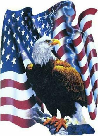 American Flag Eagle Pics