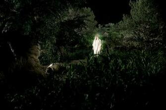 Angel Appears In The Garden