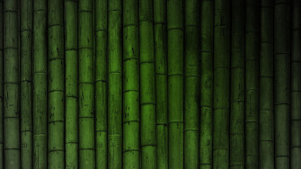 HD Bamboo Background Wallpaper