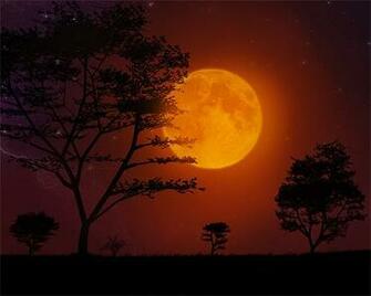 Collection Of Mesmerizing Moon Wallpaper For Your Desktop