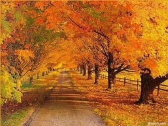 Autumn Scenes Wallpaper In HD